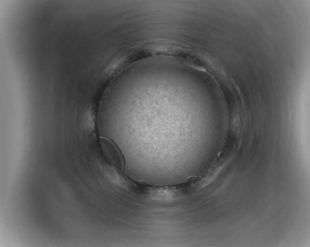 X0000115610282200911171154