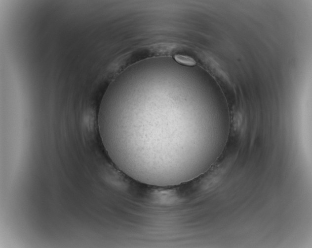 X0000115610283200911171154