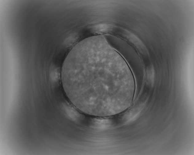 X0000115610284200911171154