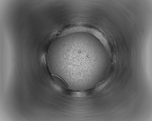 X0000115610286200911171154