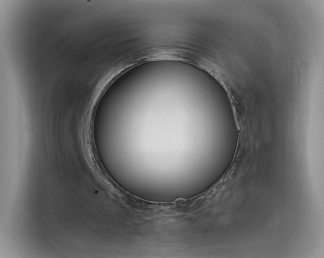 X0000115610289200911171154