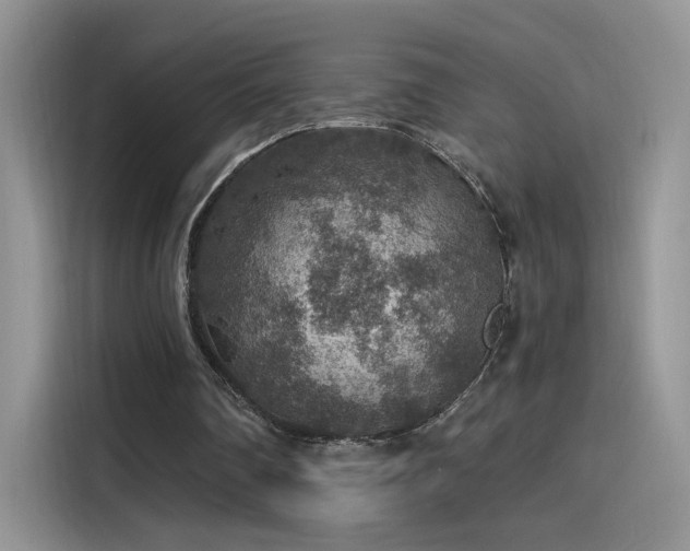 X0000115610290200911171154