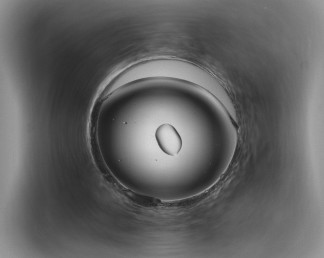 X0000115610292200911171154