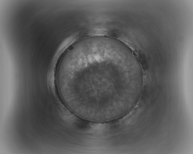 X0000115610293200911171154