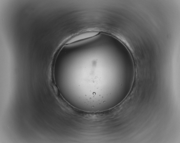 X0000115610297200911171154