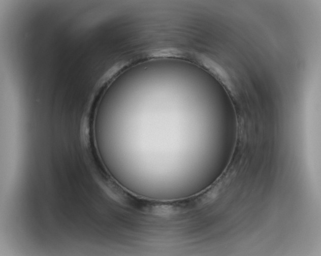 X0000115610298200911171153