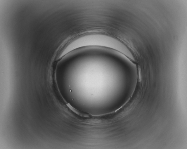 X0000115610300200911171153