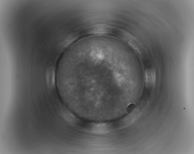 X0000115610301200911171153