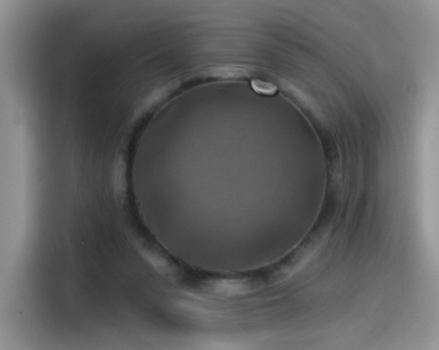 X0000115610303200911171153