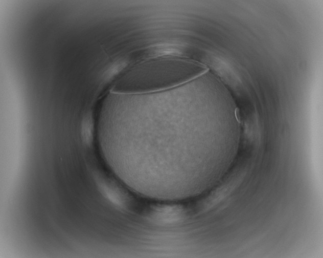 X0000115610304200911171153