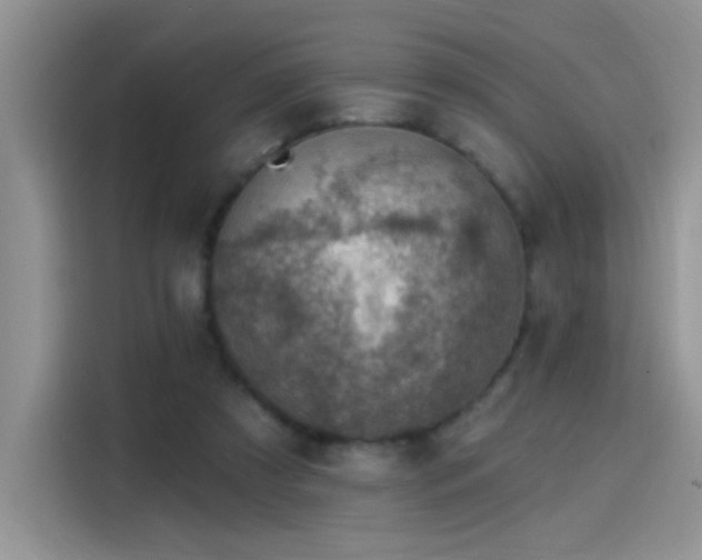 X0000115610305200911171153