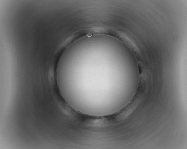 X0000115610306200911171153