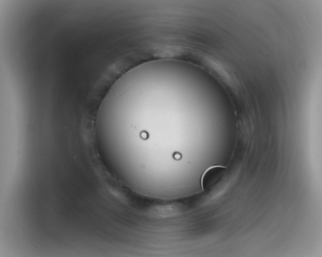 X0000115610307200911171153