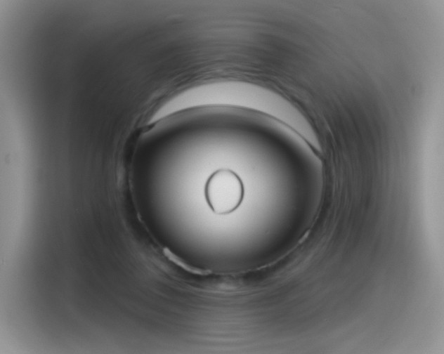 X0000115610308200911171153