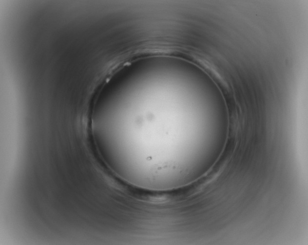 X0000115610309200911171153