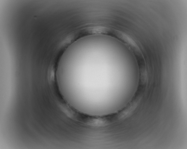 X0000115610310200911171153