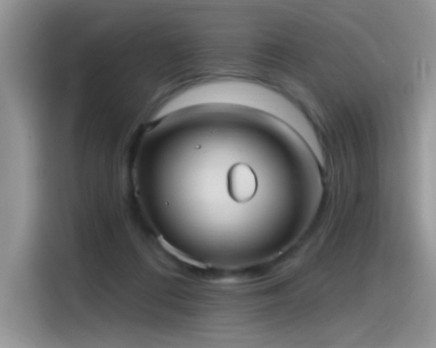 X0000115610312200911171153