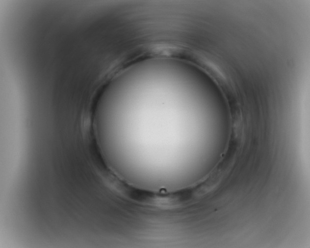 X0000115610314200911171153