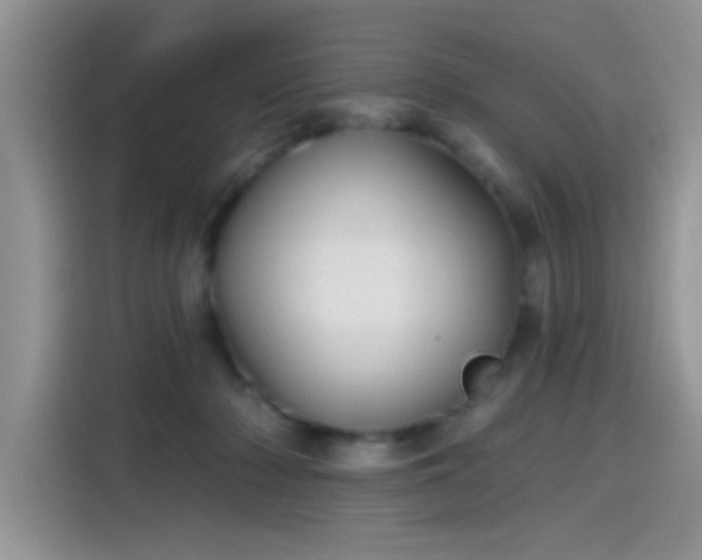 X0000115610318200911171153