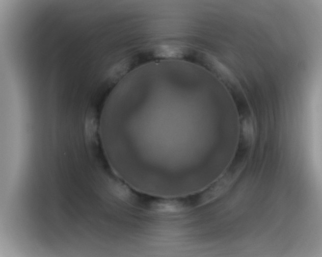 X0000115610322200911171153