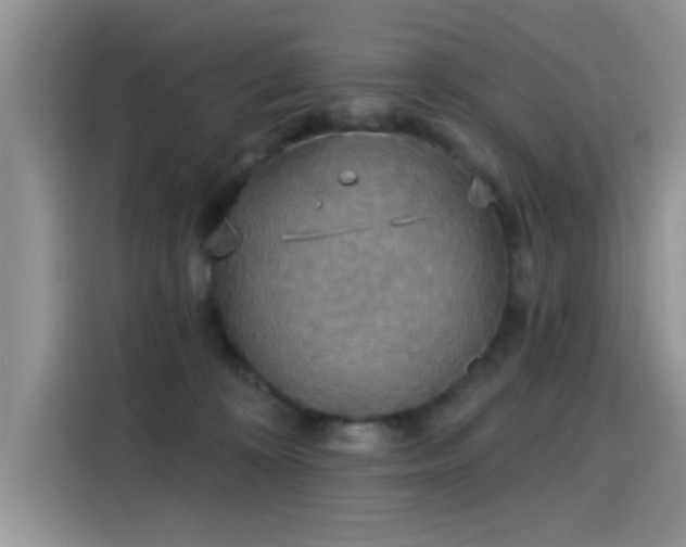 X0000115610324200911171153