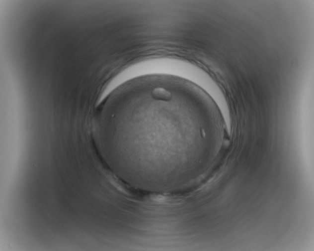 X0000115610325200911171153