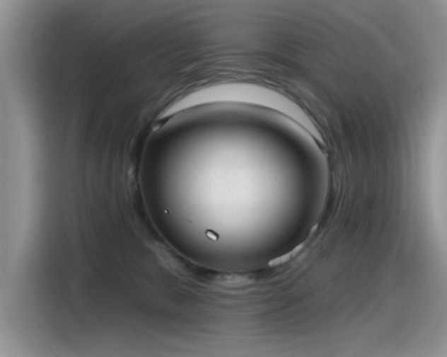 X0000115610327200911171153
