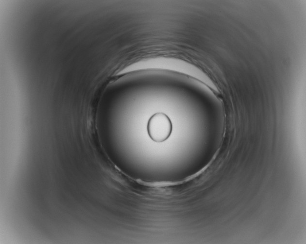 X0000115610328200911171153
