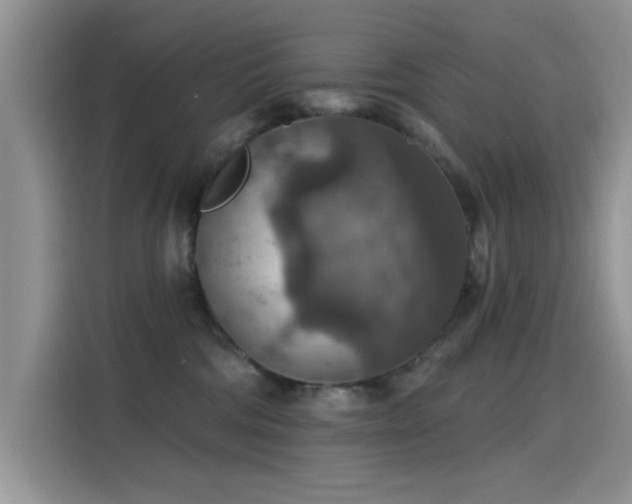 X0000115610330200911171153