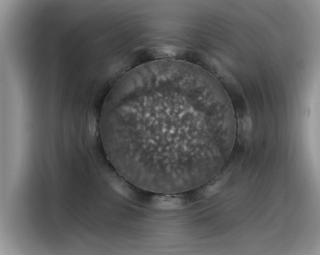 X0000115610331200911171153