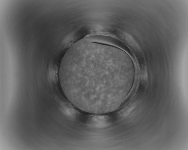 X0000115610332200911171153