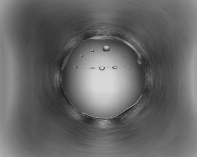 X0000115610333200911171153