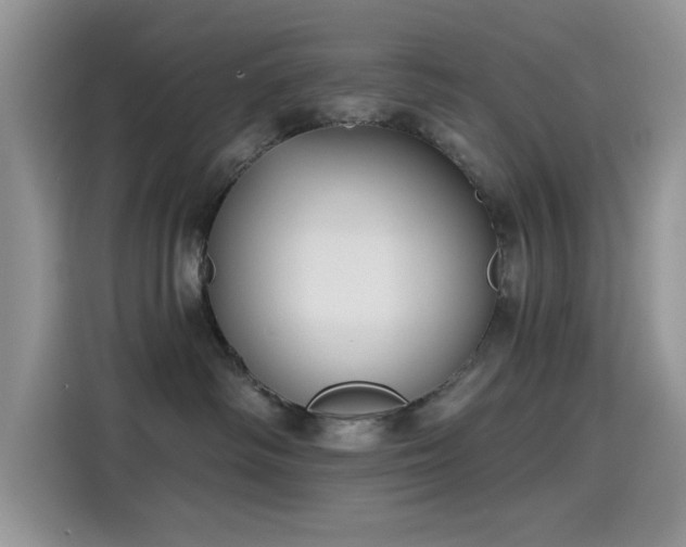 X0000115610334200911171153
