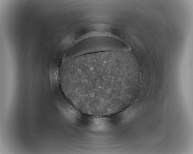 X0000115610336200911171153