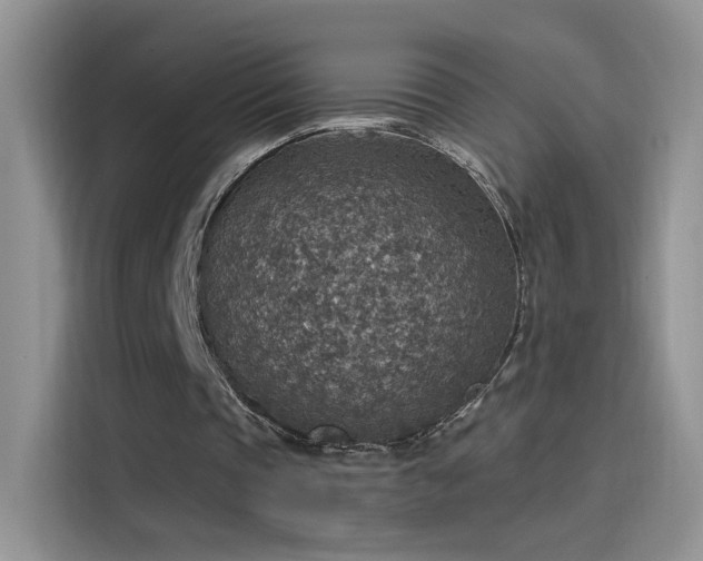 X0000115610337200911171152