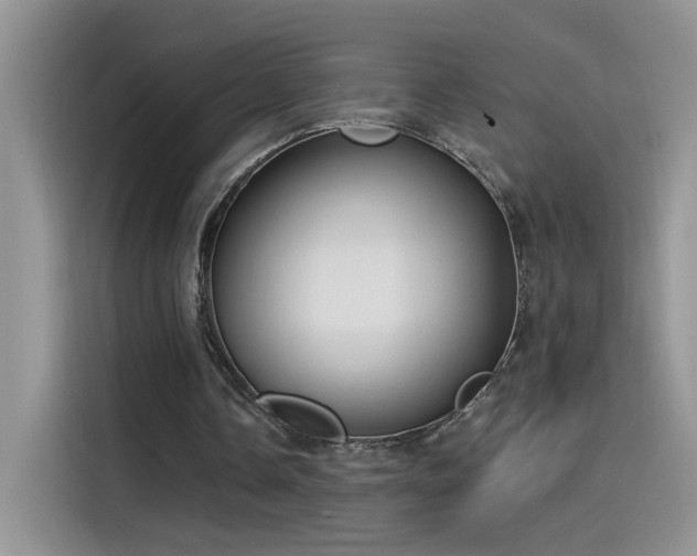 X0000115610338200911171152