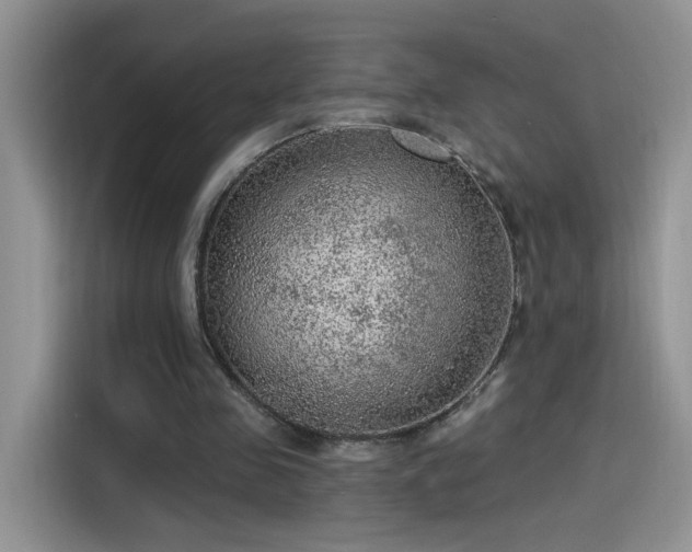 X0000115610341200911171152