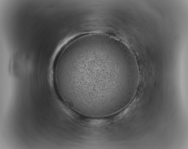 X0000115610342200911171152