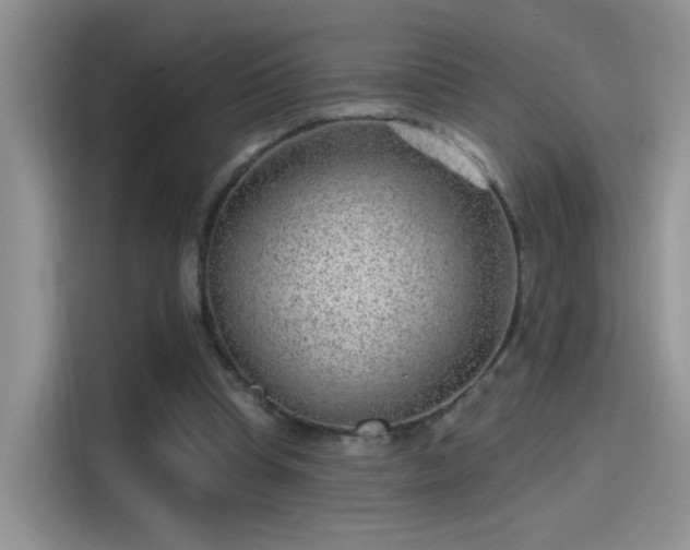 X0000115610345200911171152
