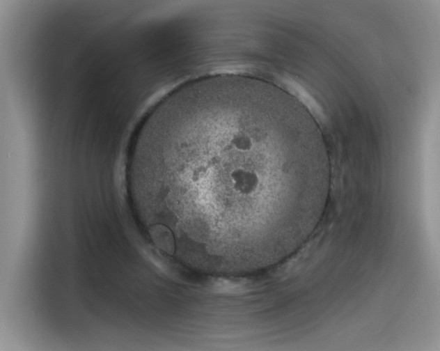 X0000115610346200911171152