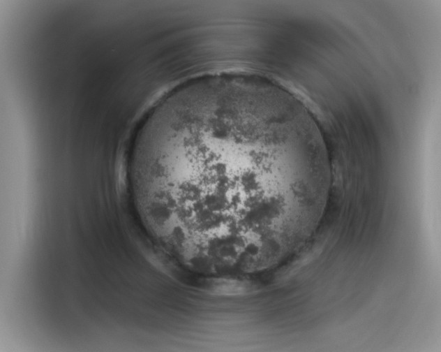 X0000115610347200911171153