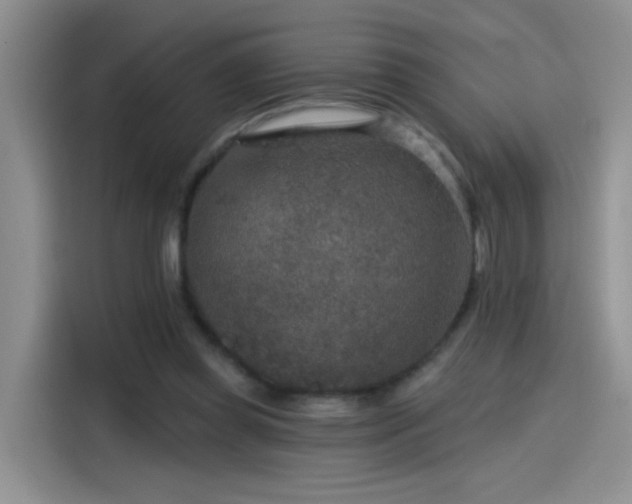 X0000115610349200911171153