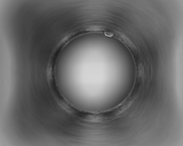 X0000115610351200911171153