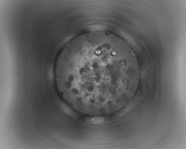 X0000115610353200911171153