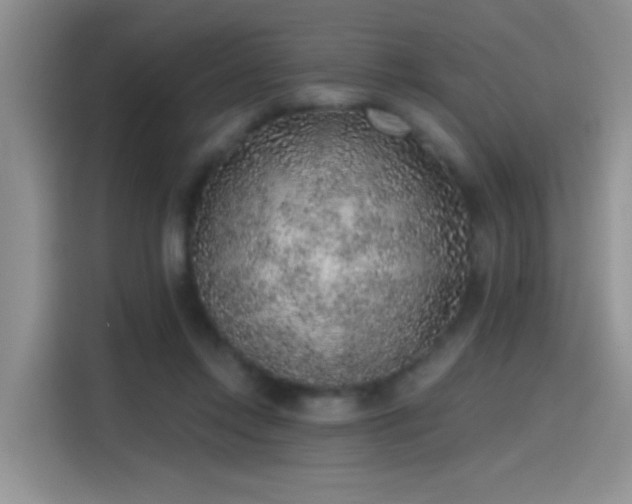 X0000115610358200911171153
