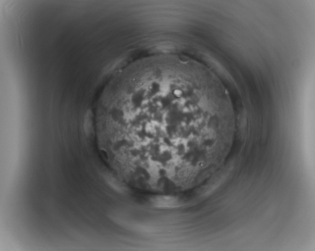 X0000115610361200911171153