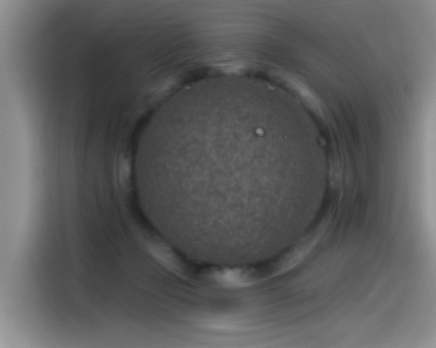 X0000115610365200911171153