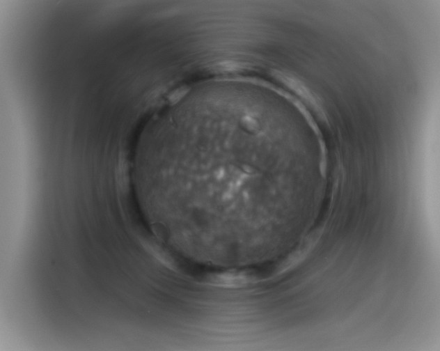 X0000115610366200911171153