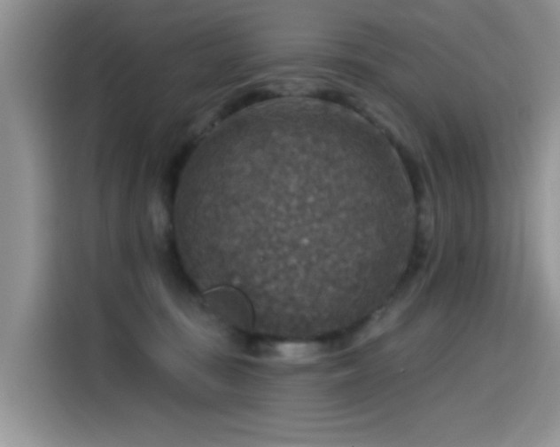 X0000115610371200911171153