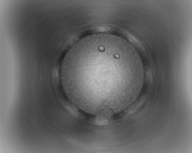 X0000115610373200911171153